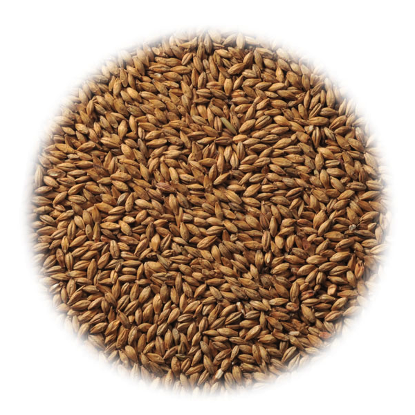 Солод Viking Malt Lightly Peated (Копченый)