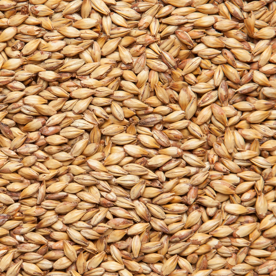 Солод Crystal Malt 50, 25 кг Viking malt