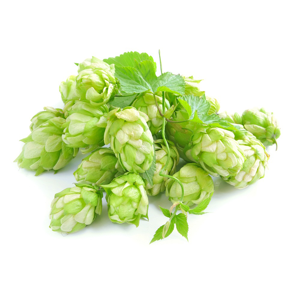 Хмель Cascade, 20 кг 47 Hops